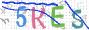 画像に表示された文字を入力して下さい