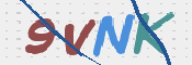 画像に表示された文字を入力して下さい