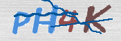画像に表示された文字を入力して下さい