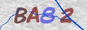 画像に表示された文字を入力して下さい