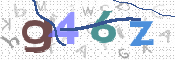 画像に表示された文字を入力して下さい