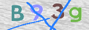 画像に表示された文字を入力して下さい