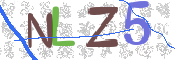 画像に表示された文字を入力して下さい