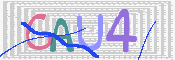 画像に表示された文字を入力して下さい