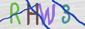画像に表示された文字を入力して下さい