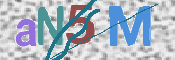 画像に表示された文字を入力して下さい