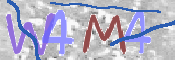 画像に表示された文字を入力して下さい