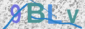 画像に表示された文字を入力して下さい