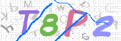 画像に表示された文字を入力して下さい