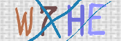 画像に表示された文字を入力して下さい