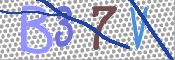 画像に表示された文字を入力して下さい
