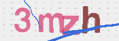 画像に表示された文字を入力して下さい