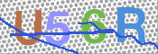 画像に表示された文字を入力して下さい