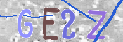 画像に表示された文字を入力して下さい