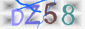 画像に表示された文字を入力して下さい