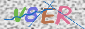 画像に表示された文字を入力して下さい
