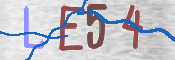 画像に表示された文字を入力して下さい
