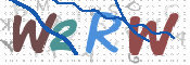 画像に表示された文字を入力して下さい