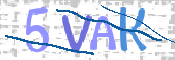 画像に表示された文字を入力して下さい
