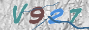 画像に表示された文字を入力して下さい