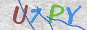 画像に表示された文字を入力して下さい