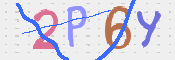 画像に表示された文字を入力して下さい