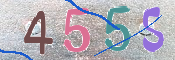 画像に表示された文字を入力して下さい