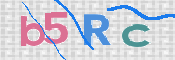 画像に表示された文字を入力して下さい