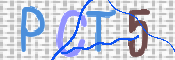 画像に表示された文字を入力して下さい