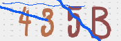 画像に表示された文字を入力して下さい