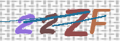 画像に表示された文字を入力して下さい