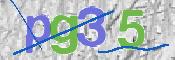 画像に表示された文字を入力して下さい