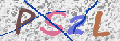 画像に表示された文字を入力して下さい