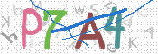 画像に表示された文字を入力して下さい