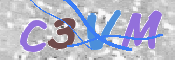 画像に表示された文字を入力して下さい
