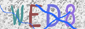 画像に表示された文字を入力して下さい