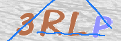 画像に表示された文字を入力して下さい