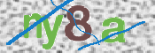 画像に表示された文字を入力して下さい
