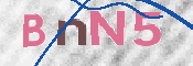 画像に表示された文字を入力して下さい