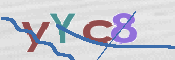 画像に表示された文字を入力して下さい