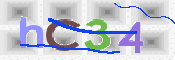 画像に表示された文字を入力して下さい