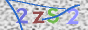 画像に表示された文字を入力して下さい