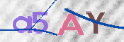 画像に表示された文字を入力して下さい
