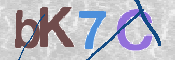 画像に表示された文字を入力して下さい