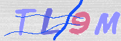 画像に表示された文字を入力して下さい