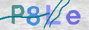 画像に表示された文字を入力して下さい