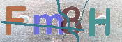 画像に表示された文字を入力して下さい