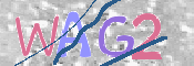 画像に表示された文字を入力して下さい