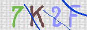画像に表示された文字を入力して下さい