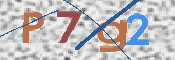 画像に表示された文字を入力して下さい